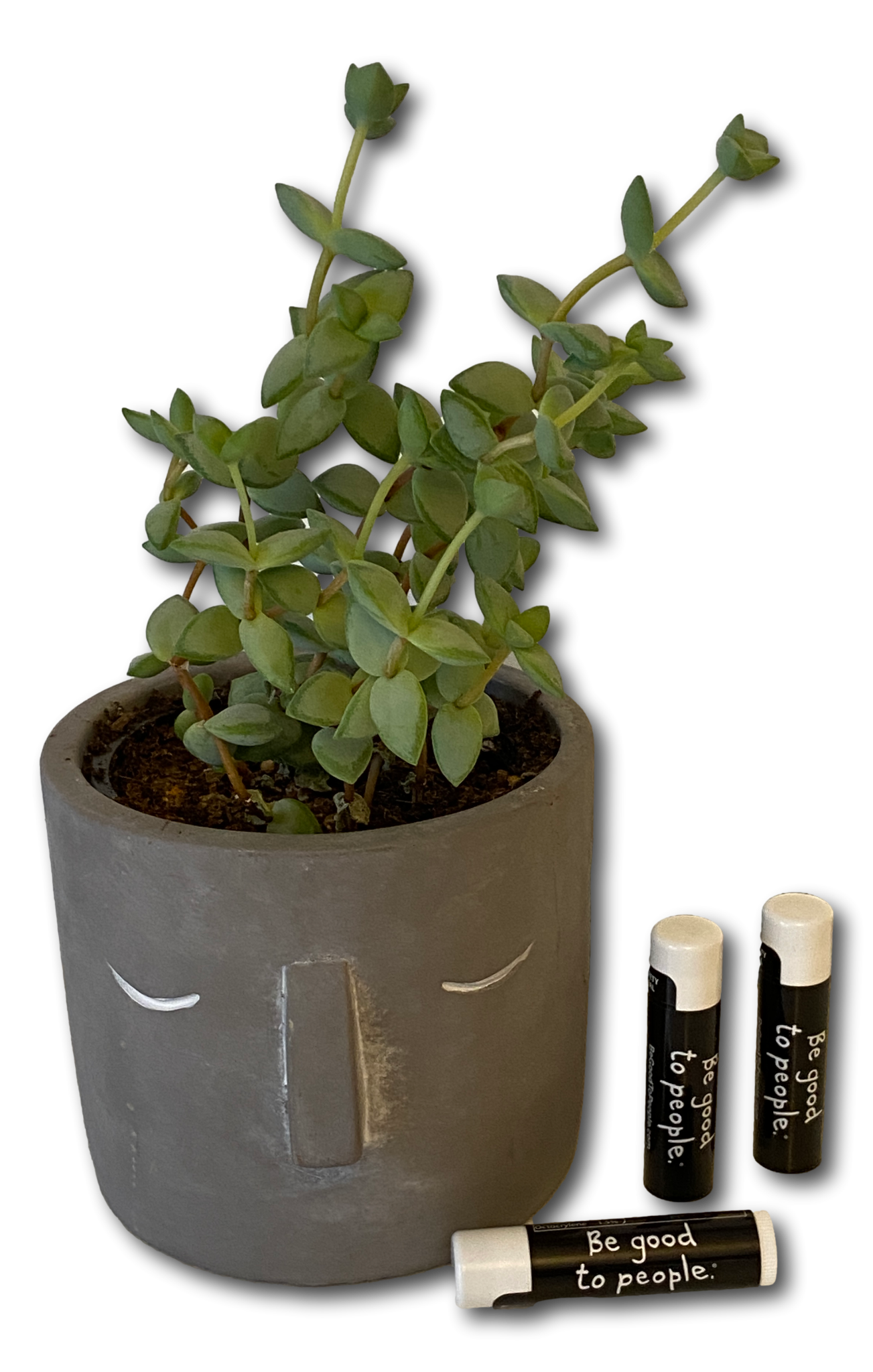 Signature SPF 15 Lip Balm